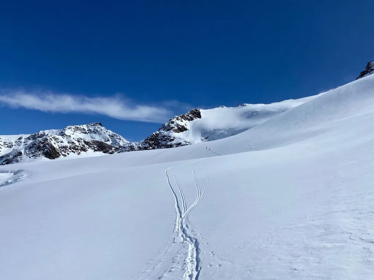 Skispur im frischen Schnee am Forni Gletscher bei einer traumhaften Skitour in der Lombardei